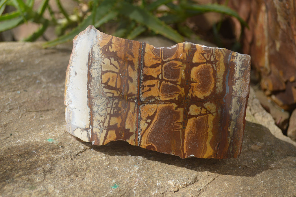 Polished On One Side Nguni Jasper Specimens x 2 From Prieska, South Africa - Toprock Gemstones and Minerals 