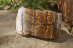 Polished On One Side Nguni Jasper Specimens x 2 From Prieska, South Africa - Toprock Gemstones and Minerals 