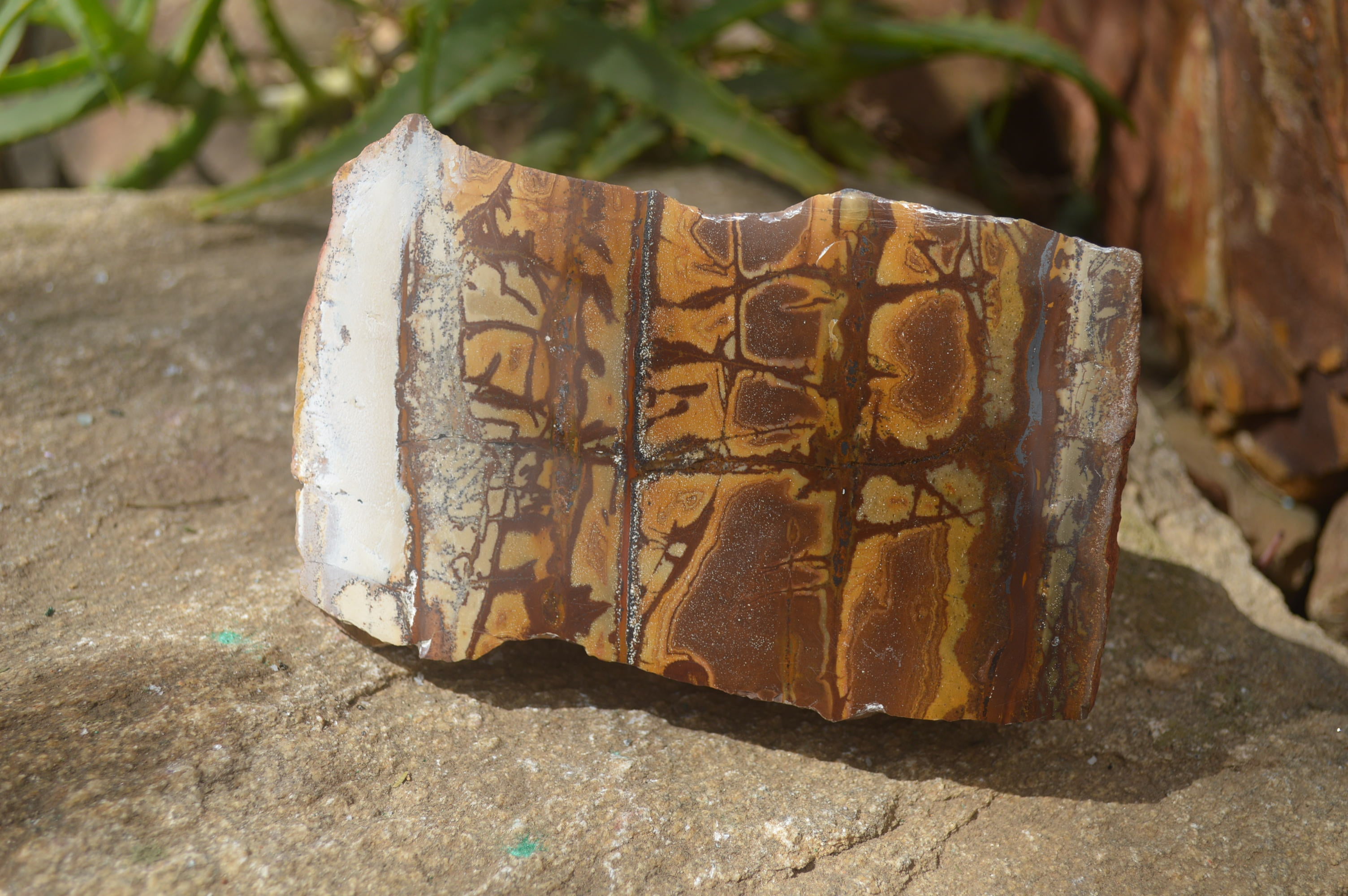 Polished On One Side Nguni Jasper Specimens x 2 From Prieska, South Africa - Toprock Gemstones and Minerals 