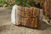 Polished On One Side Nguni Jasper Specimens x 2 From Prieska, South Africa - Toprock Gemstones and Minerals 