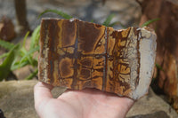 Polished On One Side Nguni Jasper Specimens x 2 From Prieska, South Africa - Toprock Gemstones and Minerals 