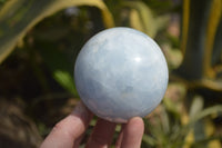 Polished Blue Calcite Sphere-Balls x 4 From Madagascar - Toprock Gemstones and Minerals 