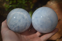 Polished Blue Calcite Sphere-Balls x 4 From Madagascar - Toprock Gemstones and Minerals 