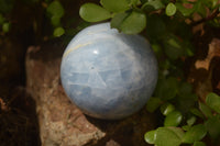 Polished Blue Calcite Sphere-Balls x 4 From Madagascar - Toprock Gemstones and Minerals 