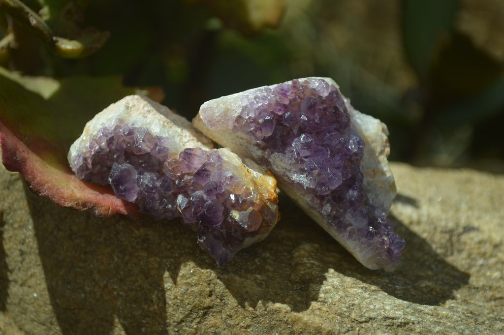 Natural Amethystos Amethyst Specimens x 35 From Kwaggafontein, South Africa - Toprock Gemstones and Minerals 