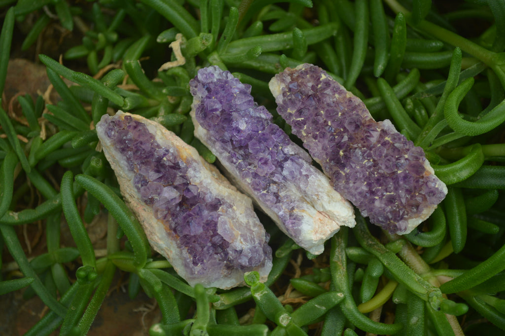 Natural Amethystos Amethyst Specimens x 35 From Kwaggafontein, South Africa - Toprock Gemstones and Minerals 