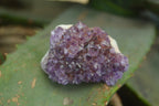 Natural Amethystos Amethyst Specimens x 35 From Kwaggafontein, South Africa - Toprock Gemstones and Minerals 