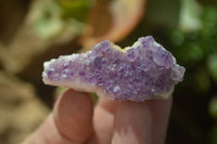 Natural Amethystos Amethyst Specimens x 35 From Kwaggafontein, South Africa - Toprock Gemstones and Minerals 