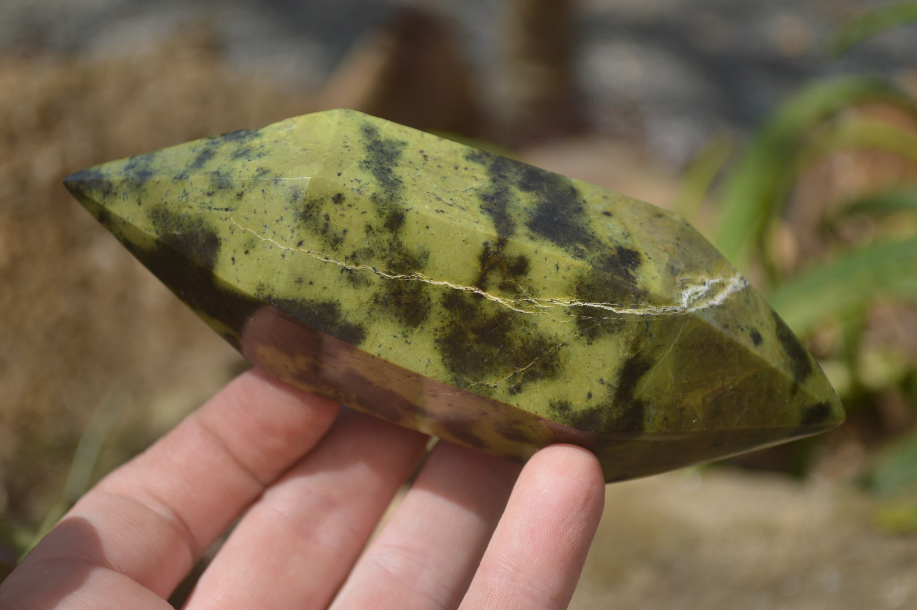 Polished Leopard Stone Standing Free Forms x 6 From Nyanga, Zimbabwe - Toprock Gemstones and Minerals 