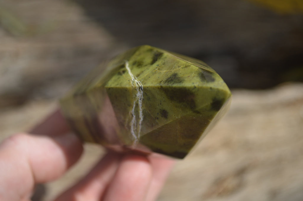 Polished Leopard Stone Standing Free Forms x 6 From Nyanga, Zimbabwe - Toprock Gemstones and Minerals 
