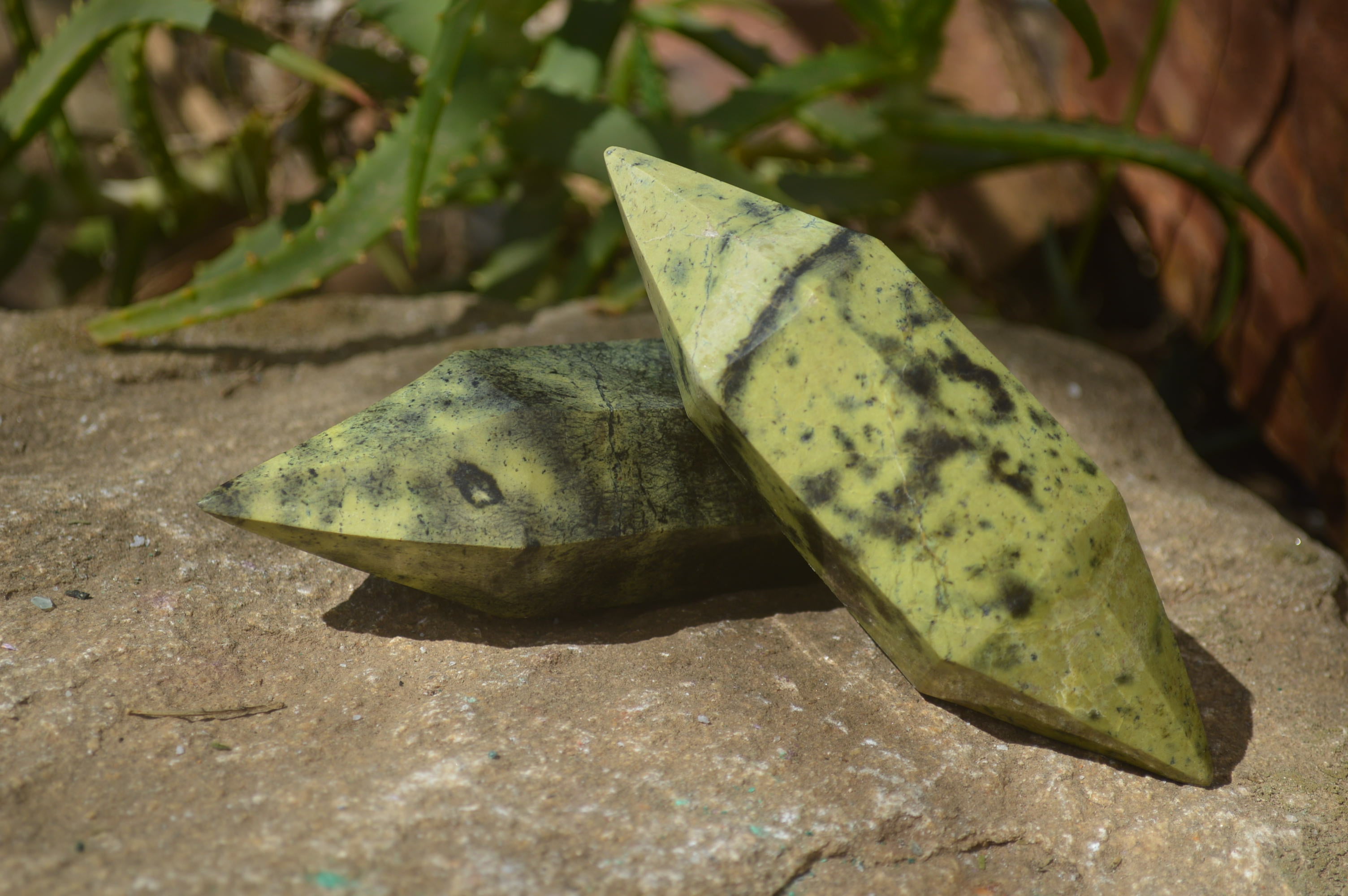 Polished Leopard Stone Standing Free Forms x 6 From Nyanga, Zimbabwe - Toprock Gemstones and Minerals 