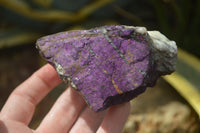 Natural Metallic Purpurite Cobbed Specimens x 12 From Erongo, Namibia