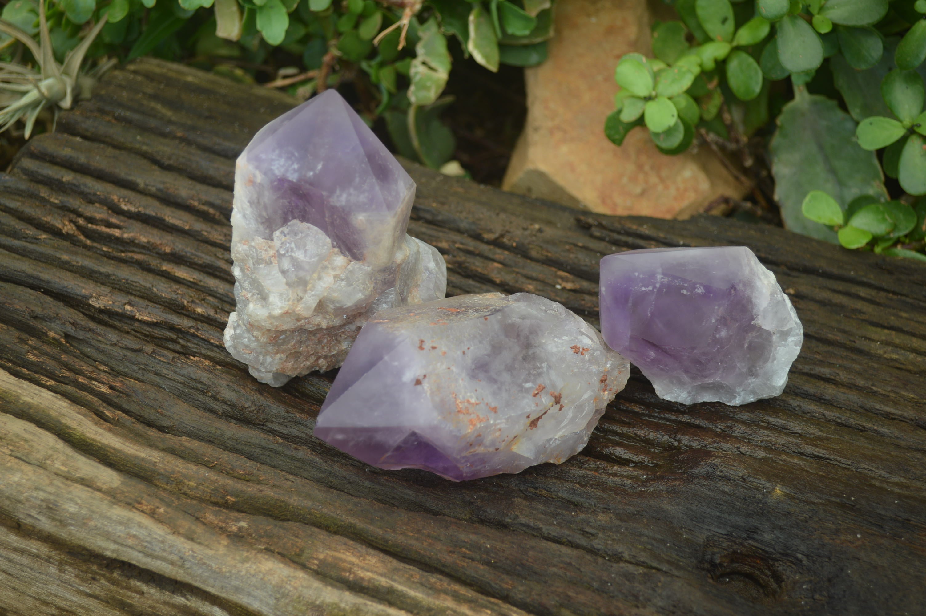 Polished Jacaranda Amethyst Crystals x 3 From Mumbwa, Zambia - Toprock Gemstones and Minerals 