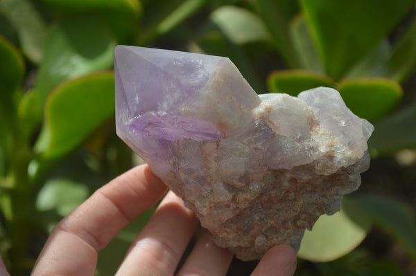 Polished Jacaranda Amethyst Crystals x 3 From Mumbwa, Zambia - Toprock Gemstones and Minerals 