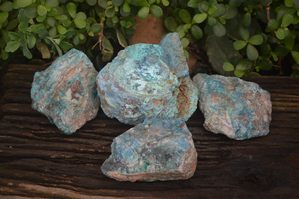 Natural Shattuckite Specimens x 4 From Kaokoveld, Namibia - Toprock Gemstones and Minerals 