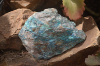Natural Shattuckite Specimens x 4 From Kaokoveld, Namibia - Toprock Gemstones and Minerals 