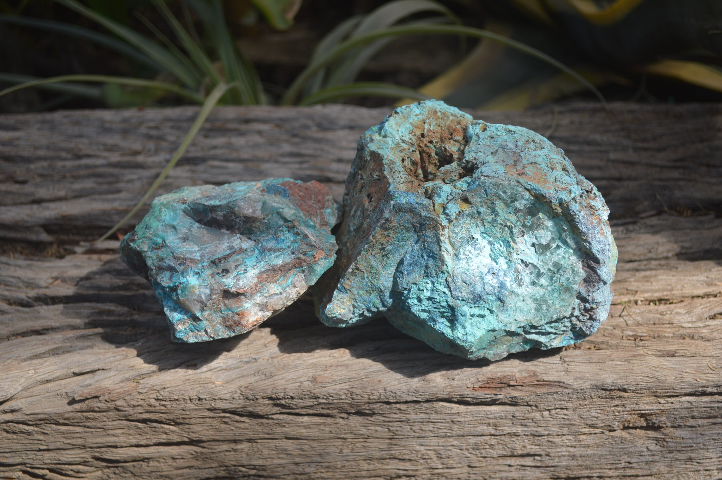 Natural Shattuckite Specimens x 4 From Kaokoveld, Namibia - Toprock Gemstones and Minerals 