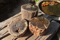 Polished Petrified Wood Branch Pieces x 3 From Gokwe, Zimbabwe - Toprock Gemstones and Minerals 