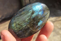 Polished Labradorite Palm Stones x 20 From Tulear, Madagascar - Toprock Gemstones and Minerals 