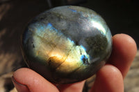 Polished Labradorite Palm Stones x 20 From Tulear, Madagascar - Toprock Gemstones and Minerals 