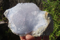 Natural Blue Lace Agate Geode Specimens x 2 From Nsanje, Malawi - Toprock Gemstones and Minerals 