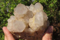 Natural Smokey Quartz Clusters x 2 From Luena, Congo - Toprock Gemstones and Minerals 