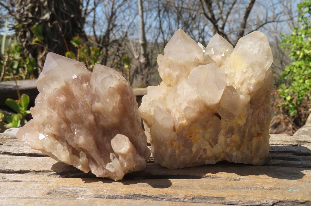 Natural Smokey Quartz Clusters x 2 From Luena, Congo - Toprock Gemstones and Minerals 