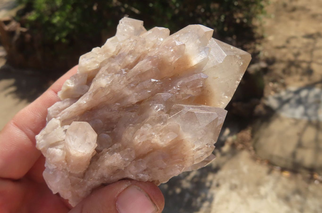 Natural Smokey Quartz Clusters x 2 From Luena, Congo - Toprock Gemstones and Minerals 
