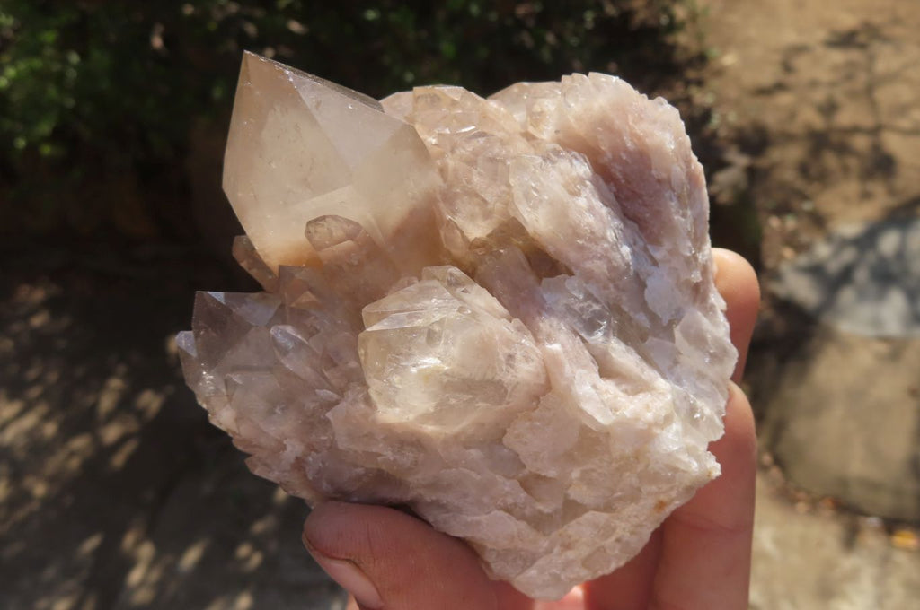 Natural Smokey Quartz Clusters x 2 From Luena, Congo - Toprock Gemstones and Minerals 