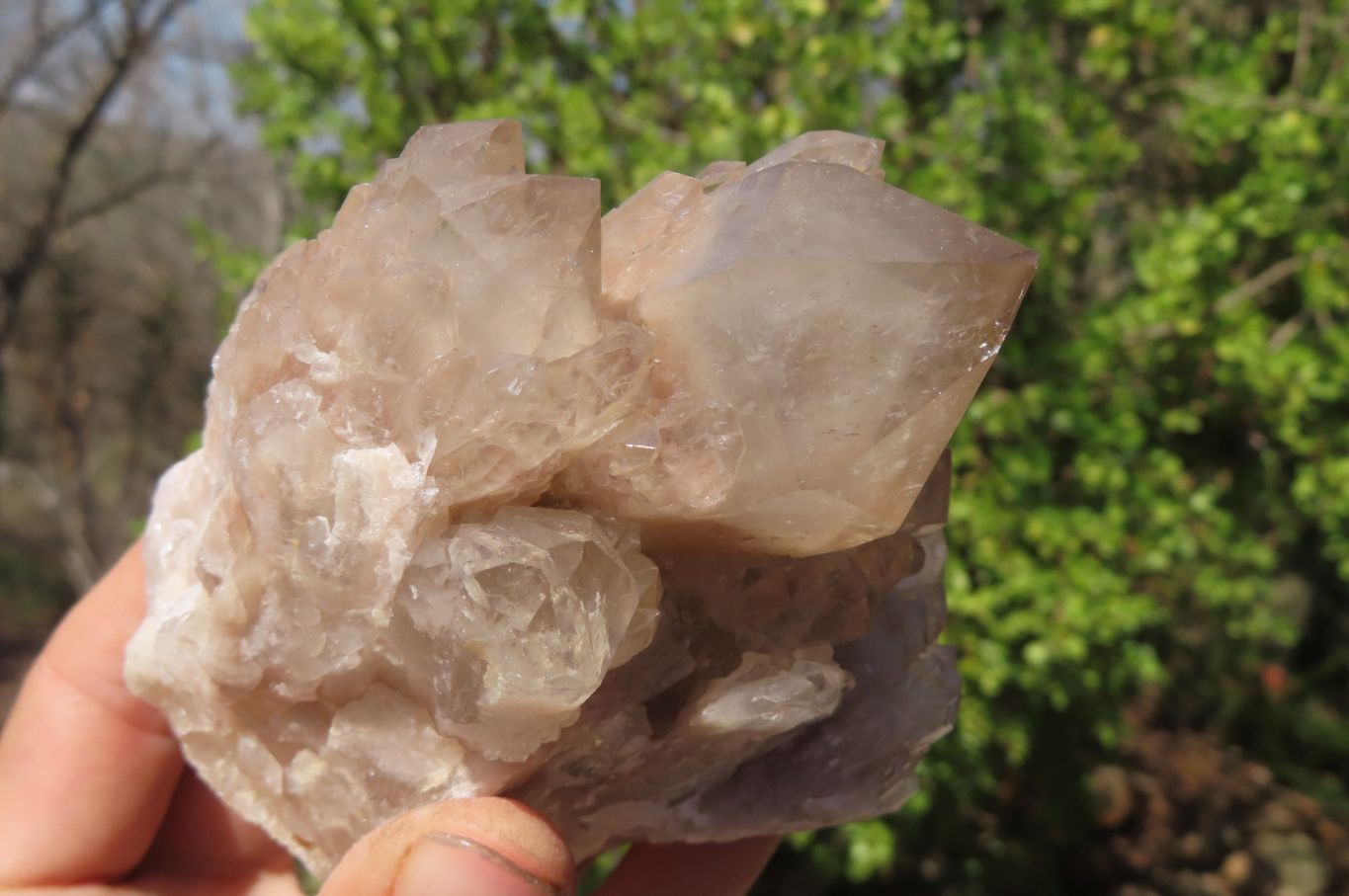Natural Smokey Quartz Clusters x 2 From Luena, Congo - Toprock Gemstones and Minerals 