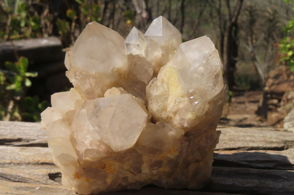 Natural Smokey Quartz Clusters x 2 From Luena, Congo - Toprock Gemstones and Minerals 