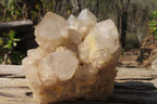 Natural Smokey Quartz Clusters x 2 From Luena, Congo - Toprock Gemstones and Minerals 