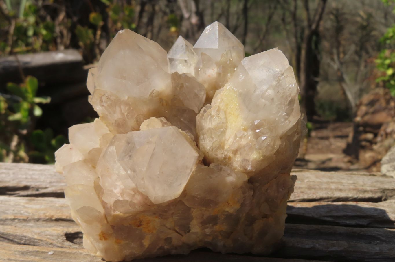 Natural Smokey Quartz Clusters x 2 From Luena, Congo - Toprock Gemstones and Minerals 
