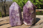 Polished Lepidolite Points x 6 From Madagascar - Toprock Gemstones and Minerals 