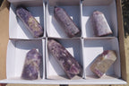 Polished Lepidolite Points x 6 From Madagascar - Toprock Gemstones and Minerals 