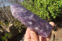 Polished Lepidolite Points x 6 From Madagascar - Toprock Gemstones and Minerals 