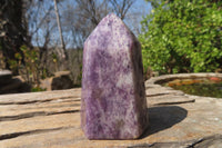 Polished Lepidolite Points x 6 From Madagascar - Toprock Gemstones and Minerals 