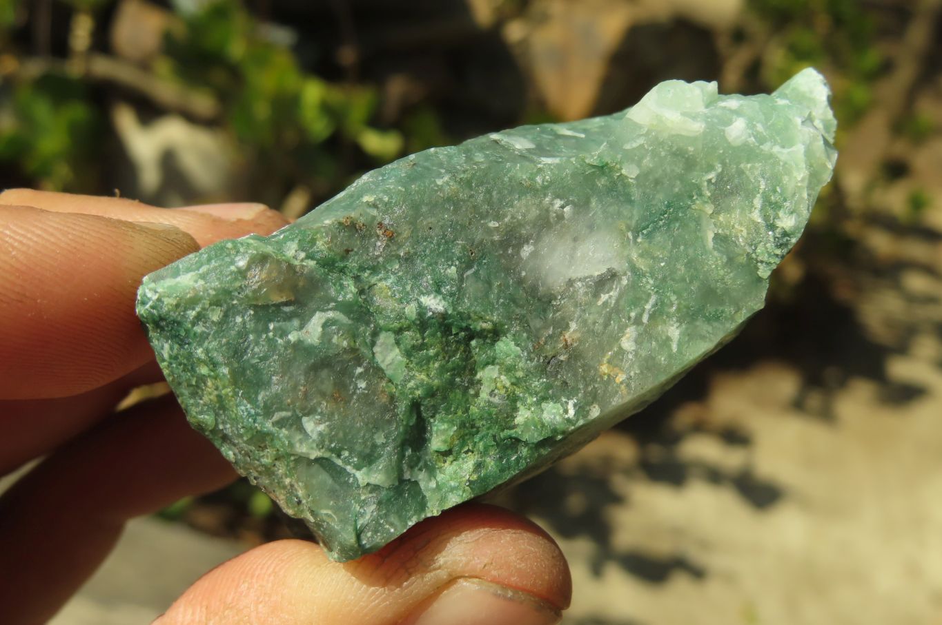 Natural Jade Cobbed Specimens x 24 From Swaziland - Toprock Gemstones and Minerals 