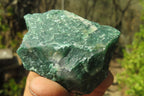 Natural Jade Cobbed Specimens x 24 From Swaziland - Toprock Gemstones and Minerals 