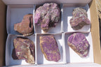 Natural Metallic Purpurite Cobbed Specimens x 6 From Erongo, Namibia - Toprock Gemstones and Minerals 