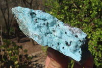Natural Drusy Coated Chrysocolla Specimens x 4 From Congo - Toprock Gemstones and Minerals 