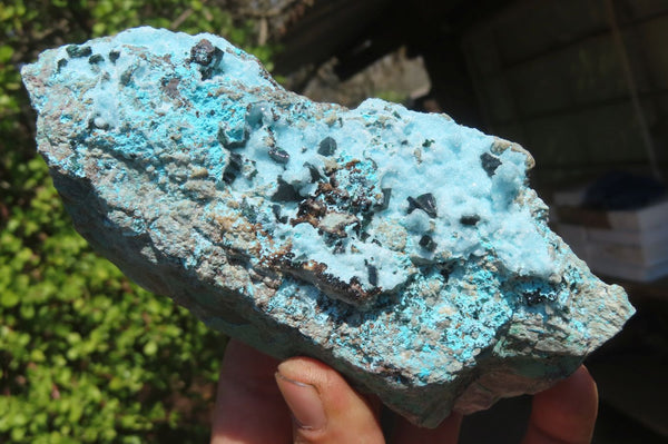 Natural Drusy Coated Chrysocolla Specimens x 4 From Congo - Toprock Gemstones and Minerals 