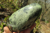 Polished Leopard Stone Free Forms x 3 From Nyanga, Zimbabwe - Toprock Gemstones and Minerals 