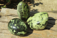 Polished Leopard Stone Free Forms x 3 From Nyanga, Zimbabwe - Toprock Gemstones and Minerals 