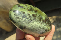 Polished Leopard Stone Free Forms x 3 From Nyanga, Zimbabwe - Toprock Gemstones and Minerals 
