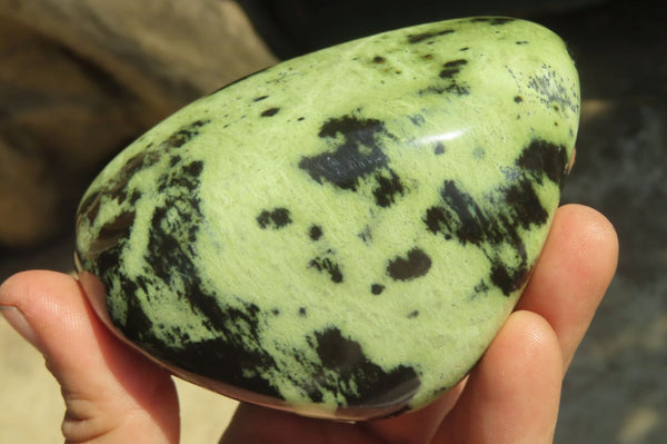 Polished Leopard Stone Free Forms x 3 From Nyanga, Zimbabwe - Toprock Gemstones and Minerals 