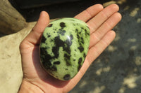 Polished Leopard Stone Free Forms x 3 From Nyanga, Zimbabwe - Toprock Gemstones and Minerals 
