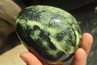 Polished Leopard Stone Free Forms x 3 From Nyanga, Zimbabwe - Toprock Gemstones and Minerals 