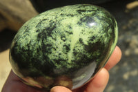 Polished Leopard Stone Free Forms x 3 From Nyanga, Zimbabwe - Toprock Gemstones and Minerals 