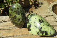 Polished Leopard Stone Free Forms x 3 From Nyanga, Zimbabwe - Toprock Gemstones and Minerals 